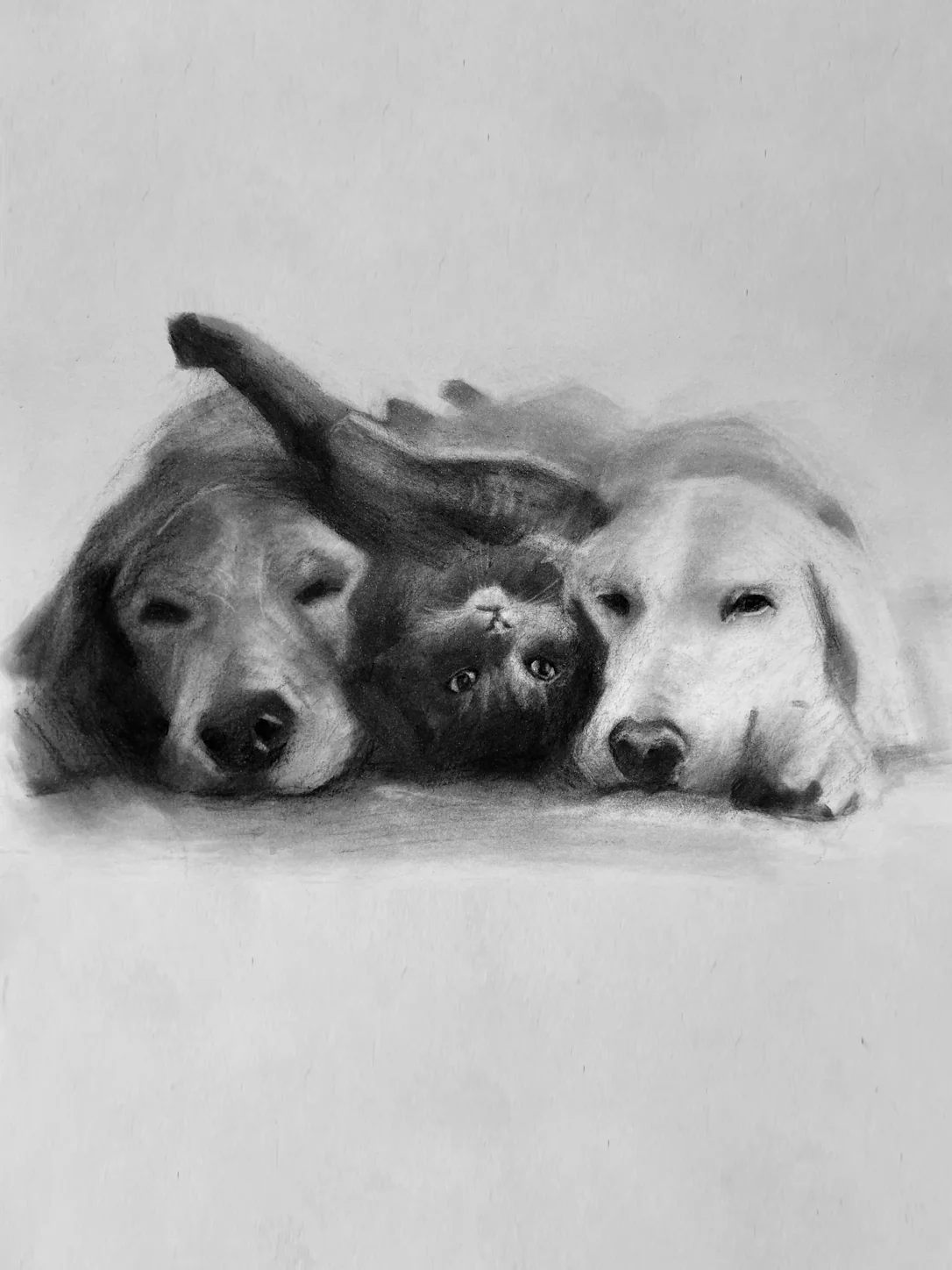 Charcoal portrait drawing